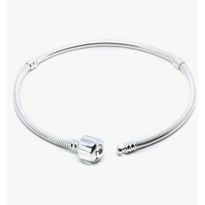 7 in. Sterling Silver (S925) Snake Chain with Premium Mystery Charm